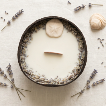 Bougie Sand Dollar - Noix de Coco & Mythe de l'Atlantide