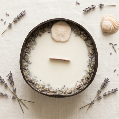 Bougie Sand Dollar - Noix de Coco & Mythe de l'Atlantide
