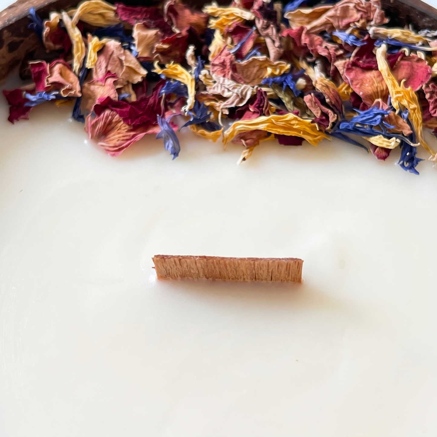 Bougie Coconut - Noix de Coco