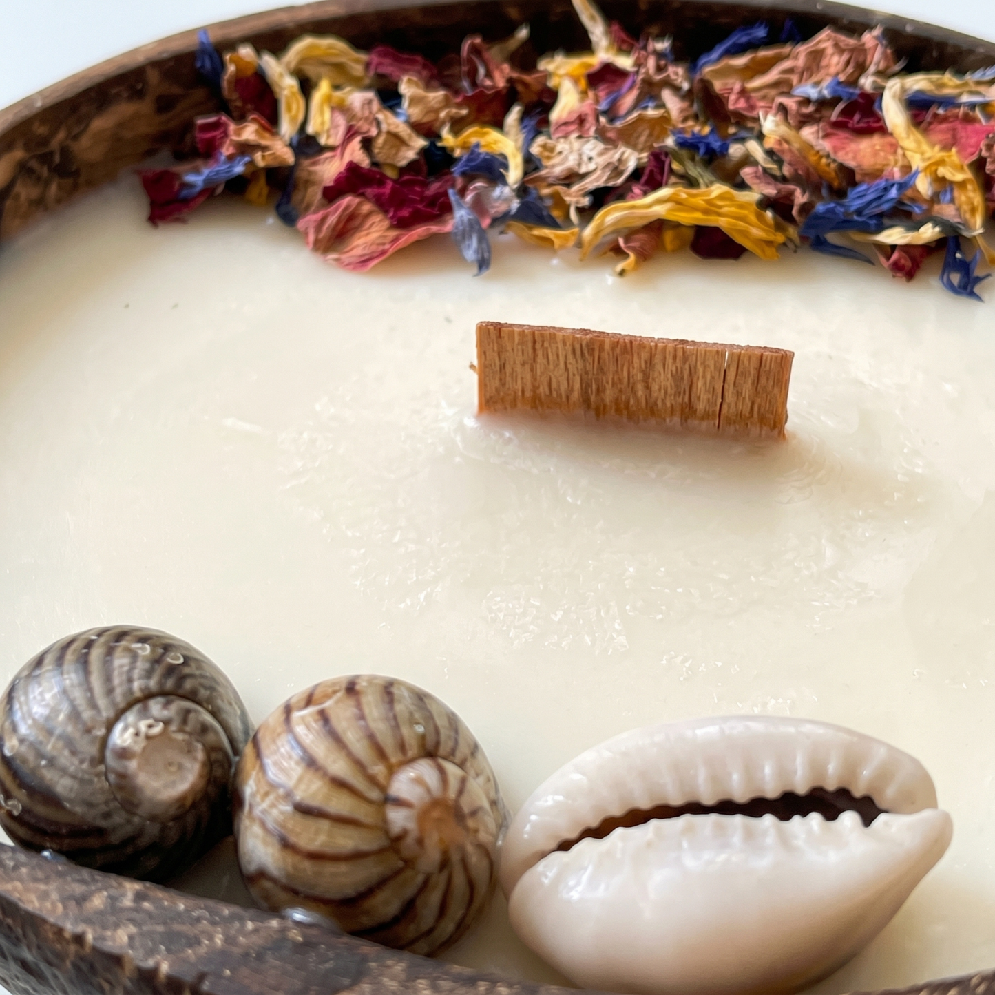 Bougie Coconut - Noix de Coco