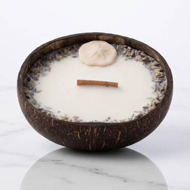 Bougie Sand Dollar - Noix de Coco & Mythe de l'Atlantide