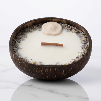 Bougie Sand Dollar - Noix de Coco & Mythe de l'Atlantide