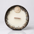 Bougie Sand Dollar - Noix de Coco & Mythe de l'Atlantide