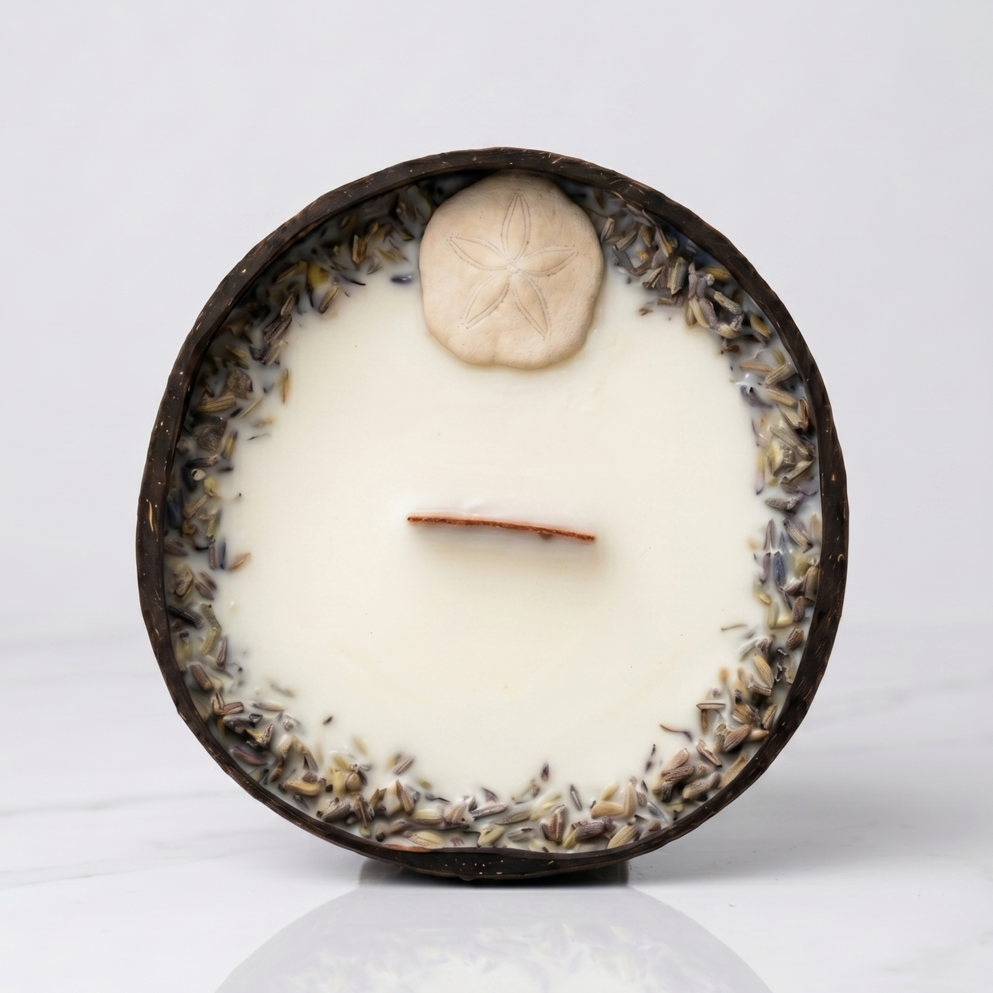 Bougie Sand Dollar - Noix de Coco & Mythe de l'Atlantide