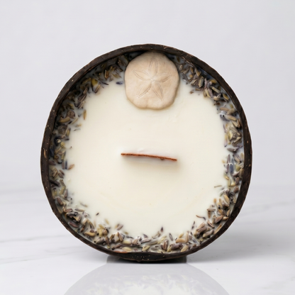 Bougie Sand Dollar - Noix de Coco & Mythe de l'Atlantide